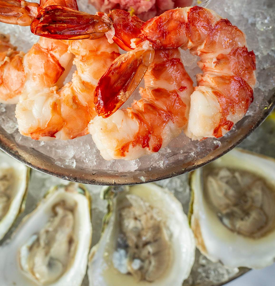 Jumbo Shrimp Cocktail on ice above raw oysters on ice served at Butcher & Rose in Columbus, Ohio.